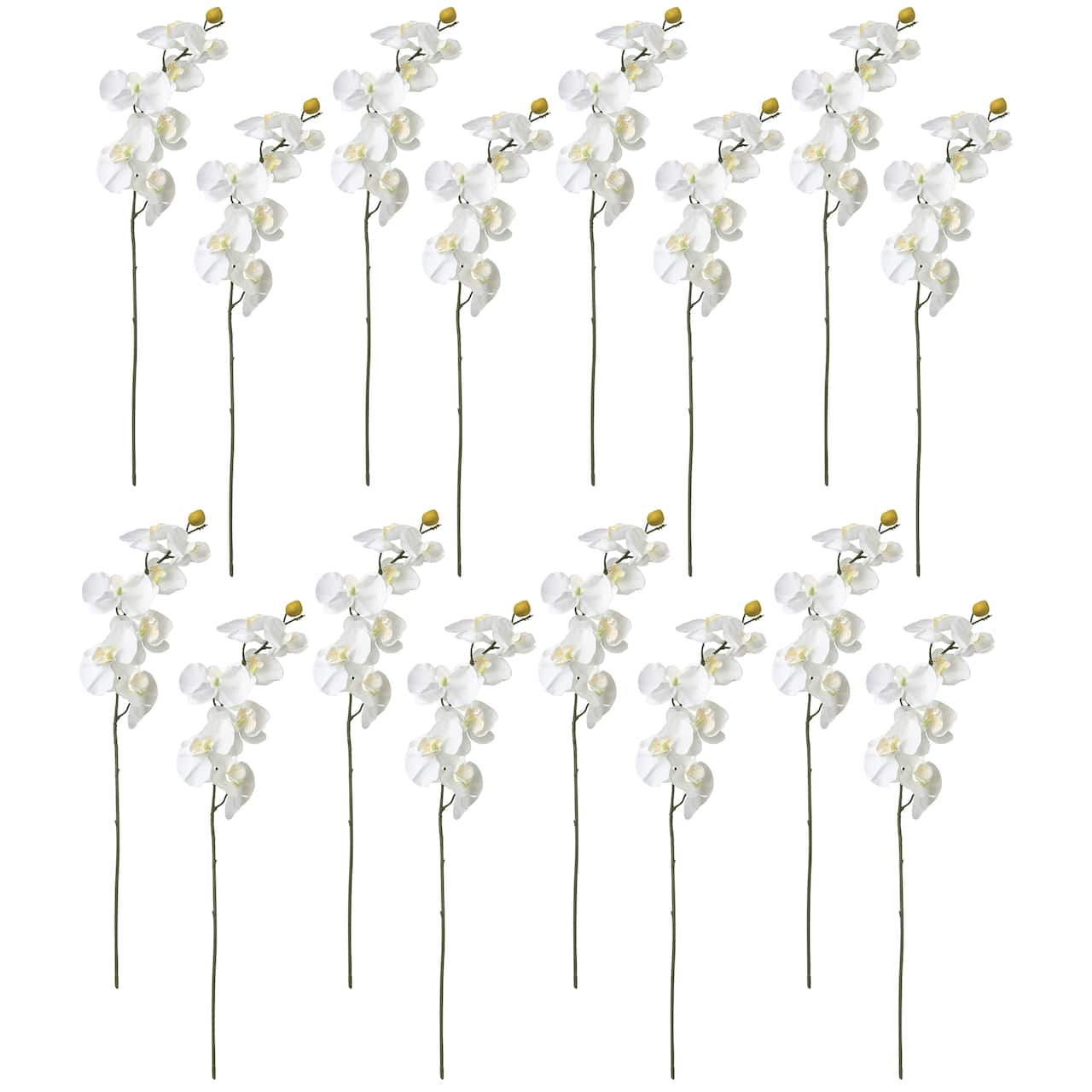 16 Pack: White Moth Orchid Stem by Ashland&#xAE;
